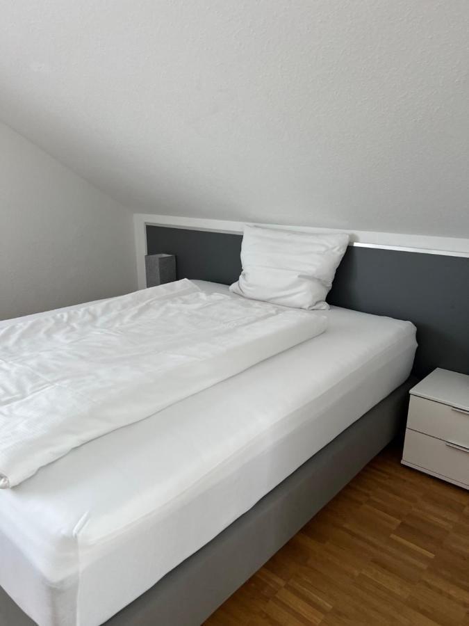 Aparthotel New Age Boardinghaus Bad Wimpfen Esterno foto
